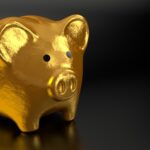Finding the Best Options for Loans with No Credit Check in Today's Market