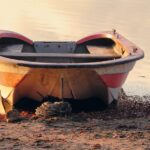 Loans No Credit Check: A Lifeline for Those in Financial Need