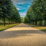 Alternatives to No Credit Check Loans: What You Should Consider