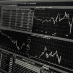 The Impact of Interest Rates on Loan Choices