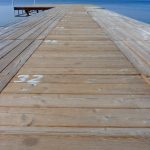 How Loans with No Credit Check Can Help You Build Credit