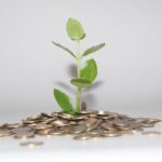 No Credit Check Loans vs. Traditional Loans: What You Should Consider