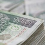 Evaluating the Terms of Loans with No Credit Check before Committing