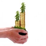 The Rise of Loans No Credit Check: A Solution for Those with Bad Credit