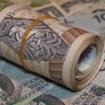 The Rise of Loans with No Credit Check: Bridging Financial Gaps