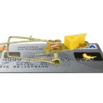 The Future of Loans: Trends and Innovations in the Borrowing Market