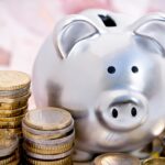 The Pros and Cons of No Credit Check Loans for Immediate Cash Needs