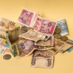 Loans with No Credit Check: Key Factors to Consider Before Applying
