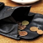 Exploring the Impact of Credit Scores on Loan Eligibility