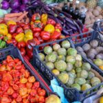 Maximizing Your Opportunities with loans with no credit check