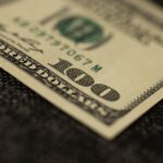 A Comprehensive Overview of Loans with No Credit Check Options Available.