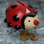 loans no credit check: A Quick Guide for Emergency Expenses