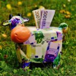 What You Need to Know Before Taking Out Loans