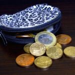 Insider Tips for Successfully Managing Multiple Loans.