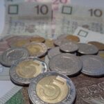 Making Informed Decisions: Pros and Cons of Loans with No Credit Check