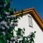 Navigating the Loan Application Process: What to Expect