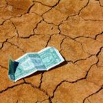 Finding Trustworthy Lenders for Loans with No Credit Check.
