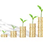 Why Loans with No Credit Check Can Be a Lifeline for Many Borrowers
