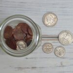 The Pros and Cons of Loans with No Credit Check for Quick Cash Access
