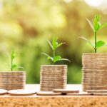 Loans No Credit Check: Key Factors to Consider Before Applying