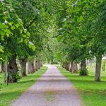 Are loans no credit check Right for You? A Comprehensive Analysis