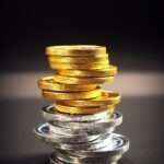 Understanding the Application Process for Government Loans