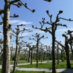 loans no credit check Explained: What You Need to Know Before Applying