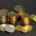 The Pros and Cons of Loans with No Credit Check: A Comprehensive Guide