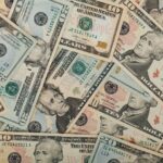 Exploring the Growing Popularity of Loans with No Credit Check