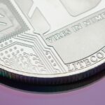 What to Consider Before Applying for Student Loans