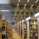 The Role of Loans in Building a Strong Credit History