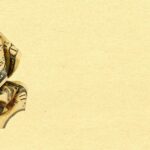 Innovative Loan Options: What You Need to Know