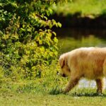 loans no credit check: Tips for Safe Borrowing