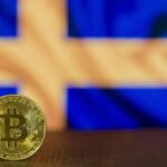 The Rise of loans no credit check: Why They’re Gaining Popularity