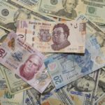 Making Sense of Loans with No Credit Check: What Borrowers Should Know