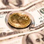 What to Look for When Applying for No Credit Check Loans