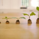 Exploring Alternatives to No Credit Check Loans for Responsible Borrowing